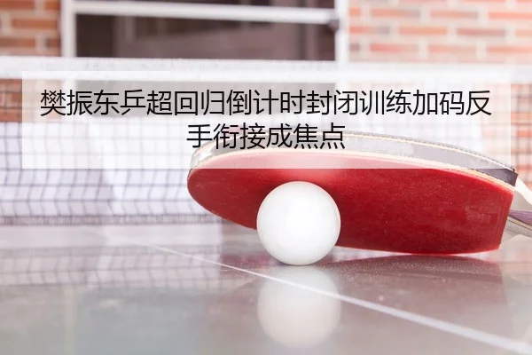 樊振东乒超回归倒计时封闭训练加码反手衔接成焦点